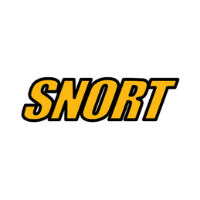 Snort – Network Intrusion Detection System (NIDS)