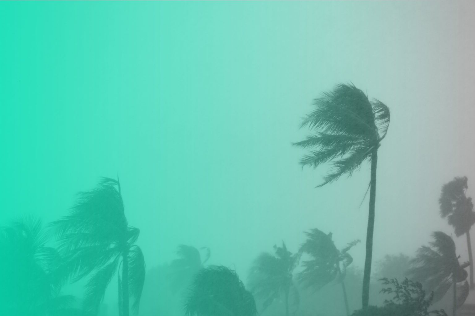 Disaster Recovery vs. Cyber Recovery Different Plans Preparing for Different Struggles CYREBRO