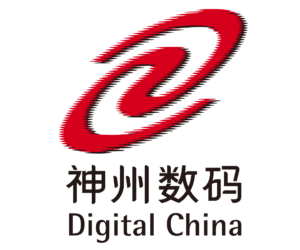 Digital China Networks (DCN)