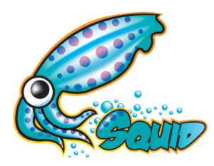 Squid – Web Proxy